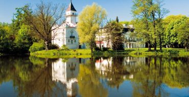 Pałac w Radziejowicach